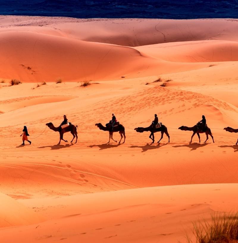3 days fes to marrakech desert tour