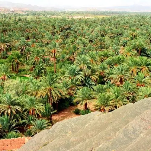 7 days sahara desert trip from agadir