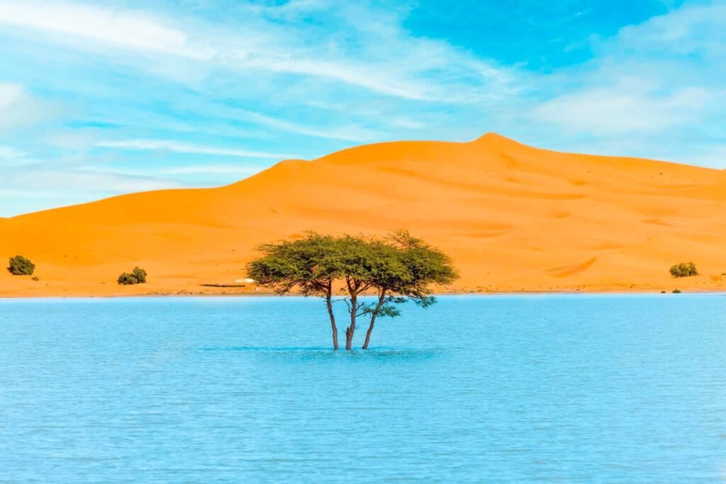 Lac Merzouga