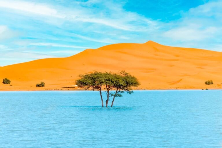 Lac Merzouga