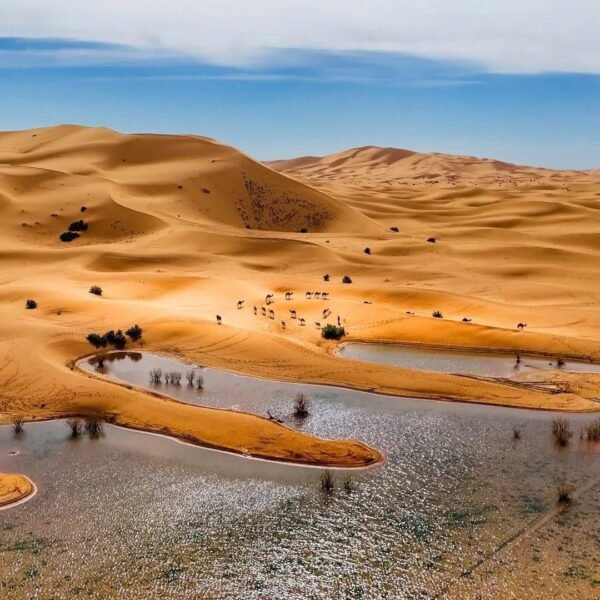 Merzouga lac