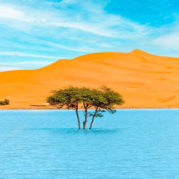 Marrakech Desert Tours
