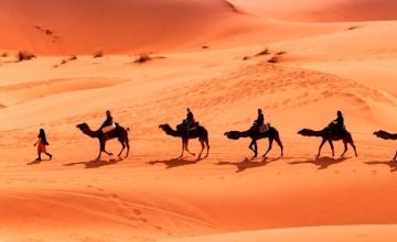 3 days fes to marrakech desert tour