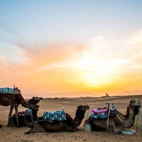 2 days marrakech to zagora desert tour