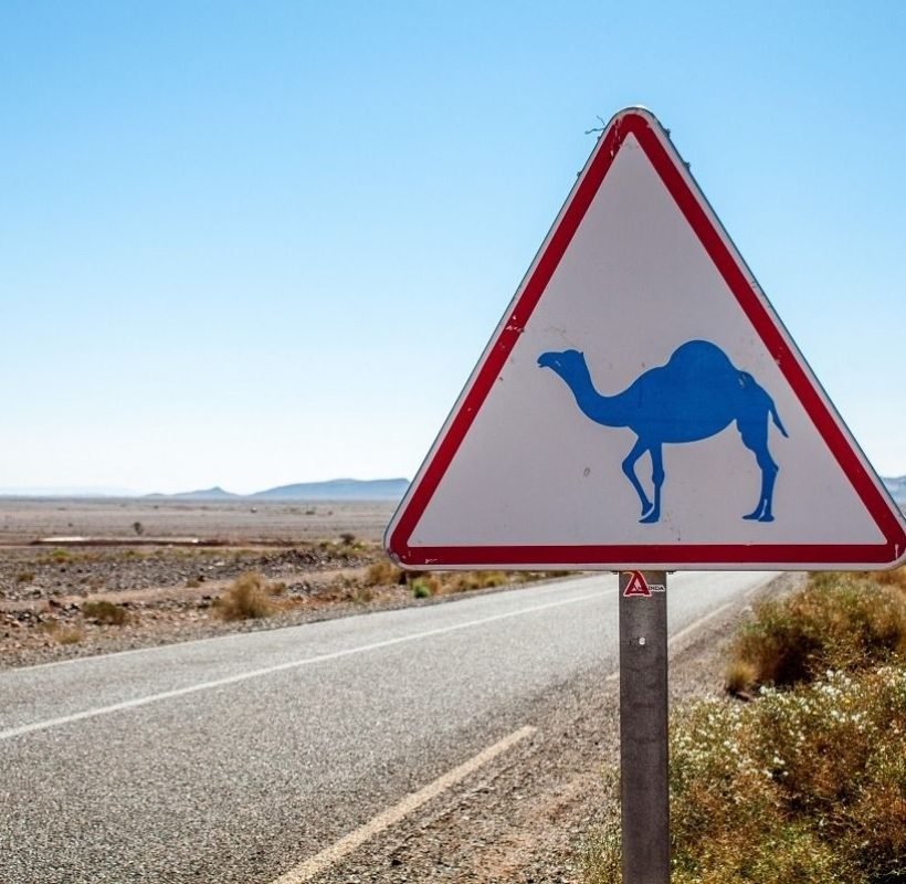 7 Days Sahara Desert Trip from Agadir