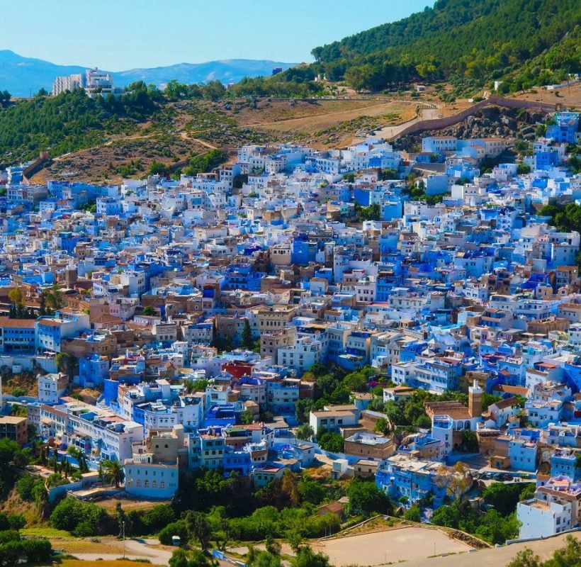 Blue City with doors located under sunlight on street with green plants in city of Morocco in summer