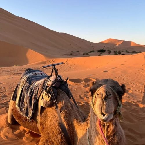 6 days Agadir to Tafraout and Erg Chigaga desert tour