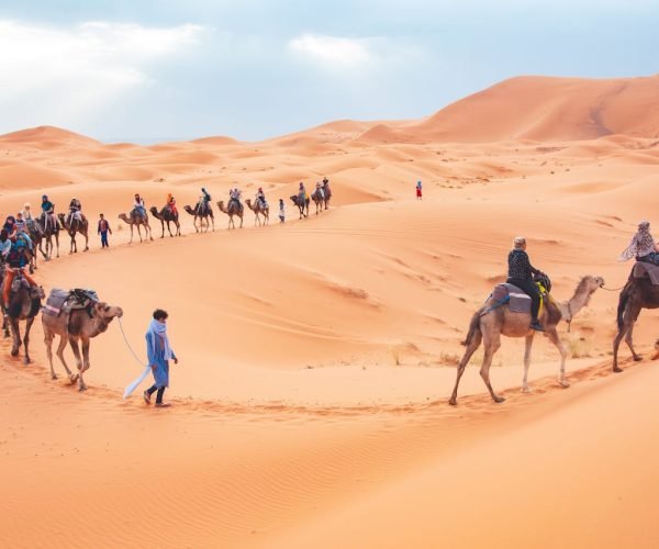 Tourists ride camels across the scenic sand dunes of Merzouga, Morocco.