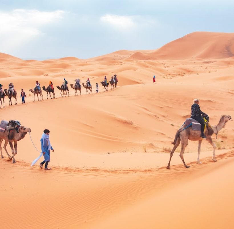 Tourists ride camels across the scenic sand dunes of Merzouga, Morocco.