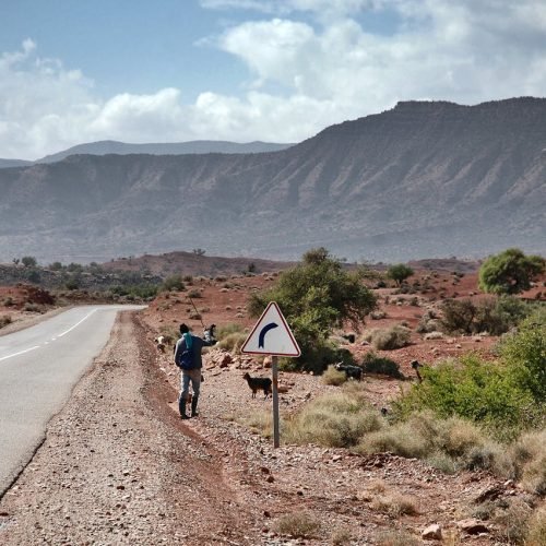 A shepherd with goats on a rural road near Merzouga, Morocco, with scenic mountains.