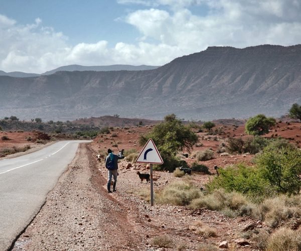 A shepherd with goats on a rural road near Merzouga, Morocco, with scenic mountains.