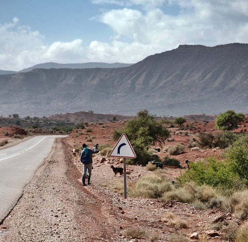 A shepherd with goats on a rural road near Merzouga, Morocco, with scenic mountains.