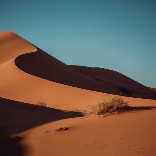 Serene sand dunes in Merzouga glow under a brilliant sunset sky, capturing the essence of the Sahara desert.