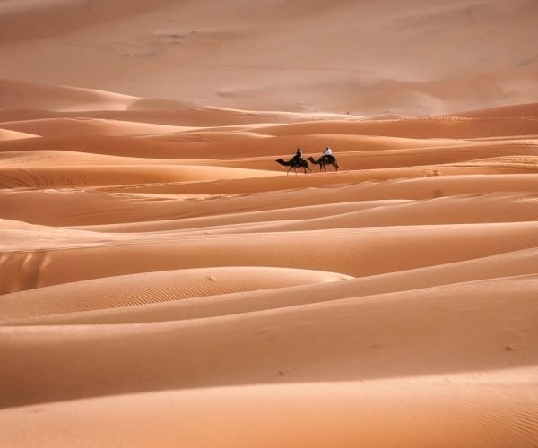 Two camels journey across expansive sand dunes in the Sahara Desert, Morocco, at dusk.