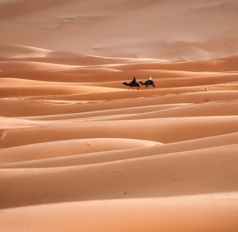 Two camels journey across expansive sand dunes in the Sahara Desert, Morocco, at dusk.
