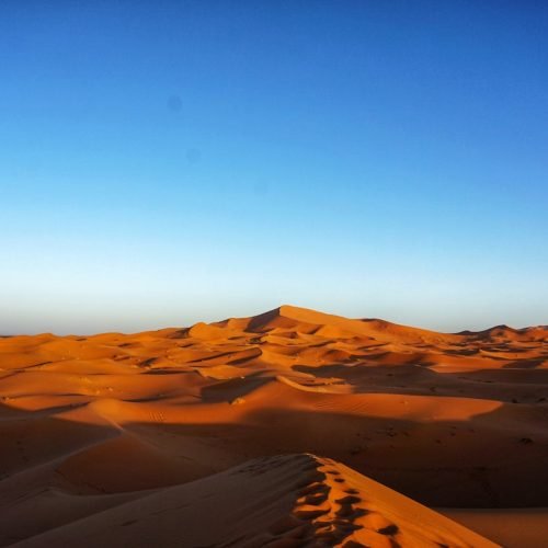 Capture the stunning beauty of expansive orange dunes beneath a vast blue sky, perfect for adventure or travel themes.