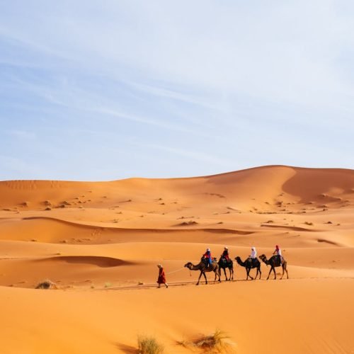 Tourists riding camels across the dunes of Merzouga, Morocco, a popular Sahara destination.