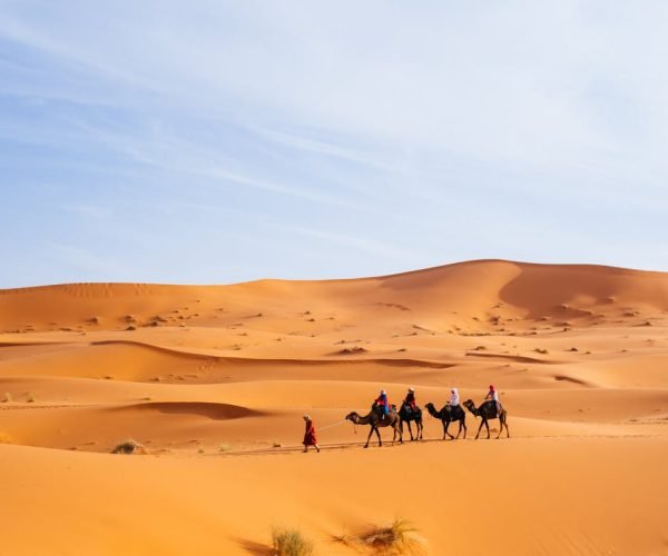 Tourists riding camels across the dunes of Merzouga, Morocco, a popular Sahara destination.