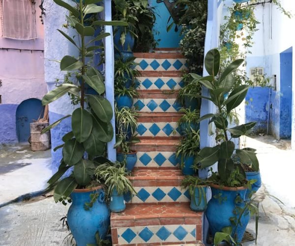 Vibrant blue staircase adorned with green plants, typical architecture of Chefchaouen, Morocco.