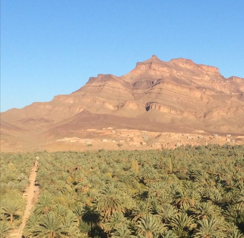 Zagora Desert